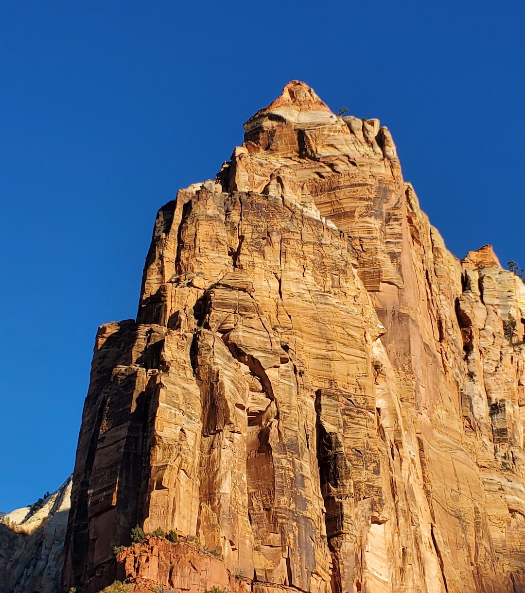 A view of the upper pitches from the approach to Kora (1,000’, 8 pitches, IV, 5.12+ PG-13). 