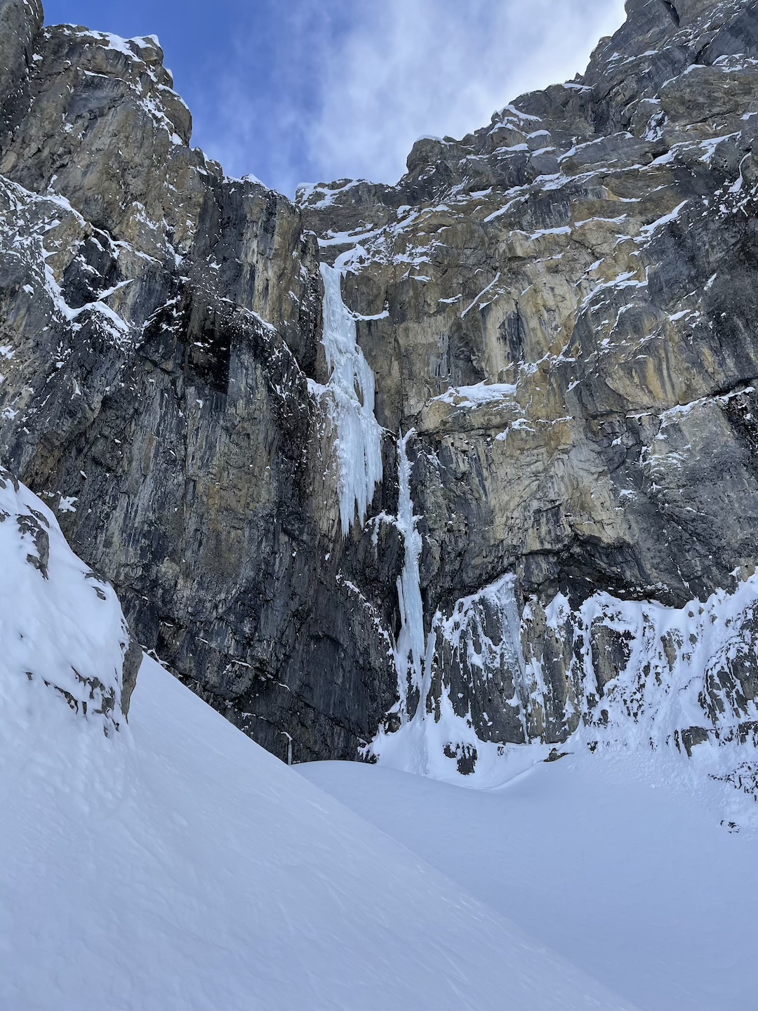 image_3