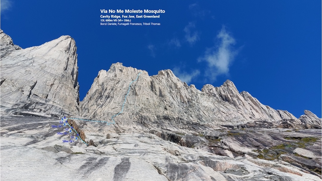 The line of No Me Moleste Mosquito on the south face of Cavity Ridge: 12 pitches and 600 meters of climbing to the high point.