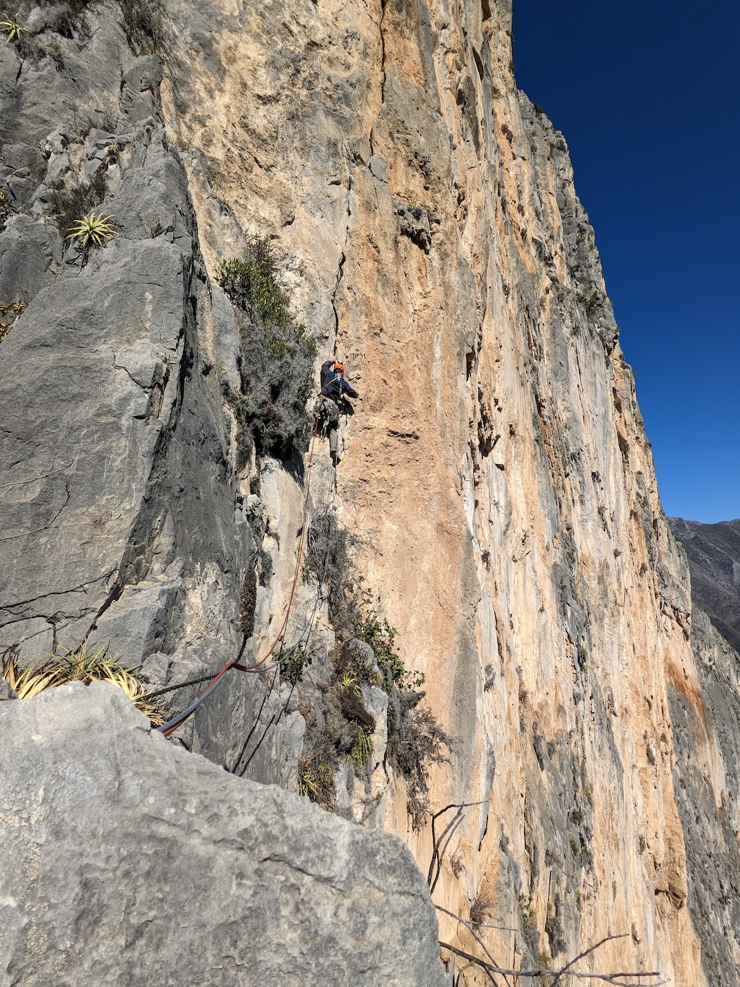 Patrick Hill on pitch three of Hard Very Cactus.