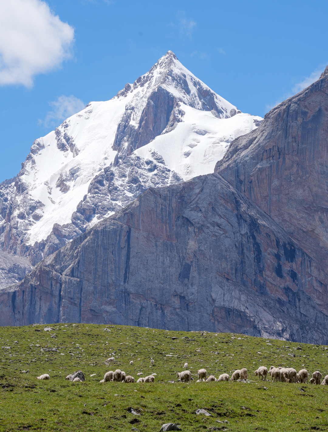 Peak 4,539m from the north. The route of ascent climbed the glacier slope east (left) of the summit and finished up the left skyline (southeast) ridge.