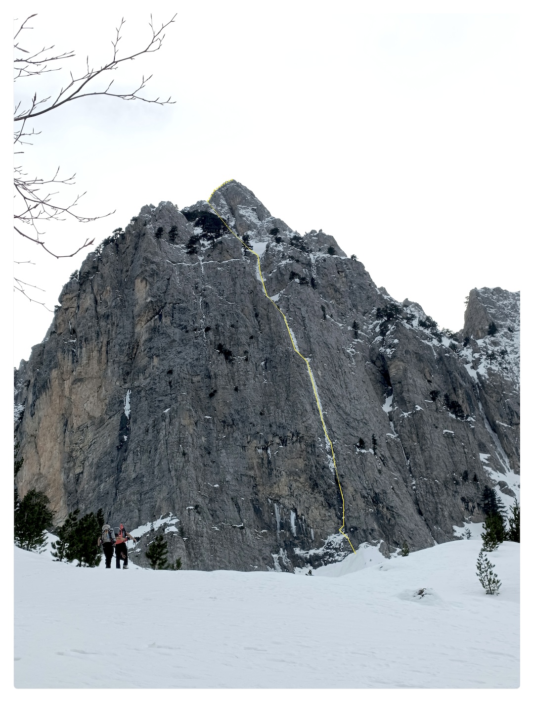 image_3