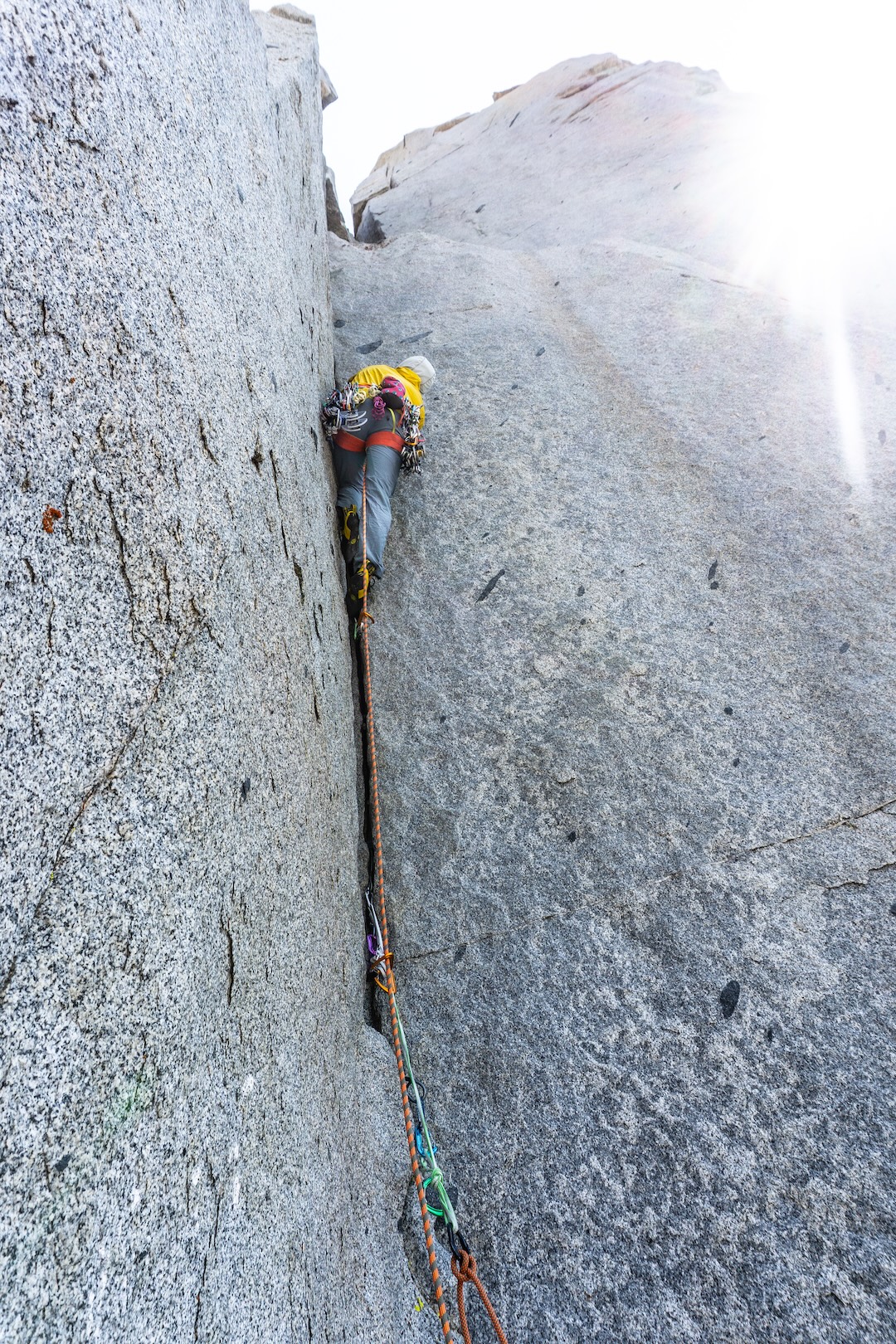image_3