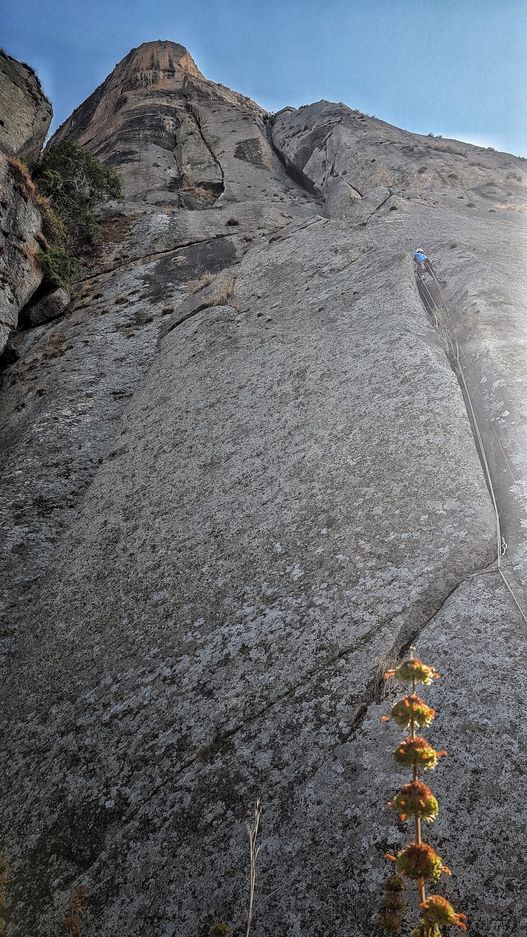 The opening pitch of Terra da Ginguba (480m, 7b A0), the first route on Kaikiawila dome. 
