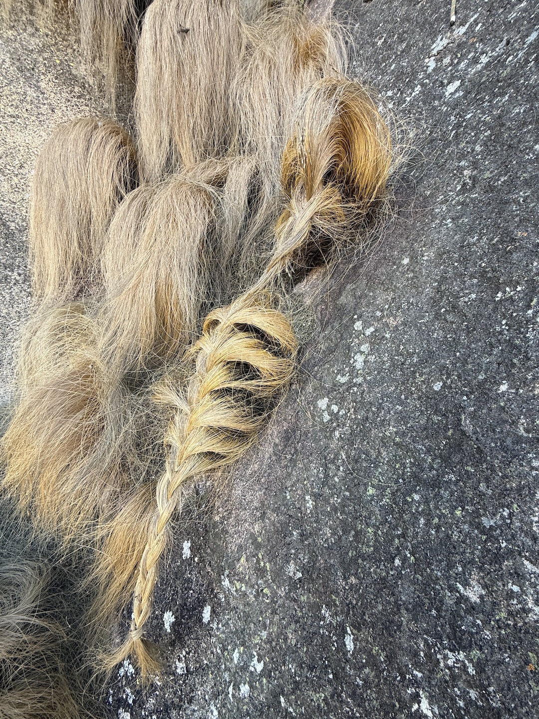 Braided grasses on the fourth pitch (6c) of new route Tsofa Dombo.