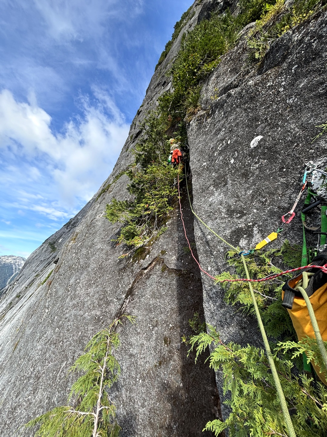 Mike Friesen free climbing (if you can call it that?) in the trees after a short A2 beak section on pitch 15. 
