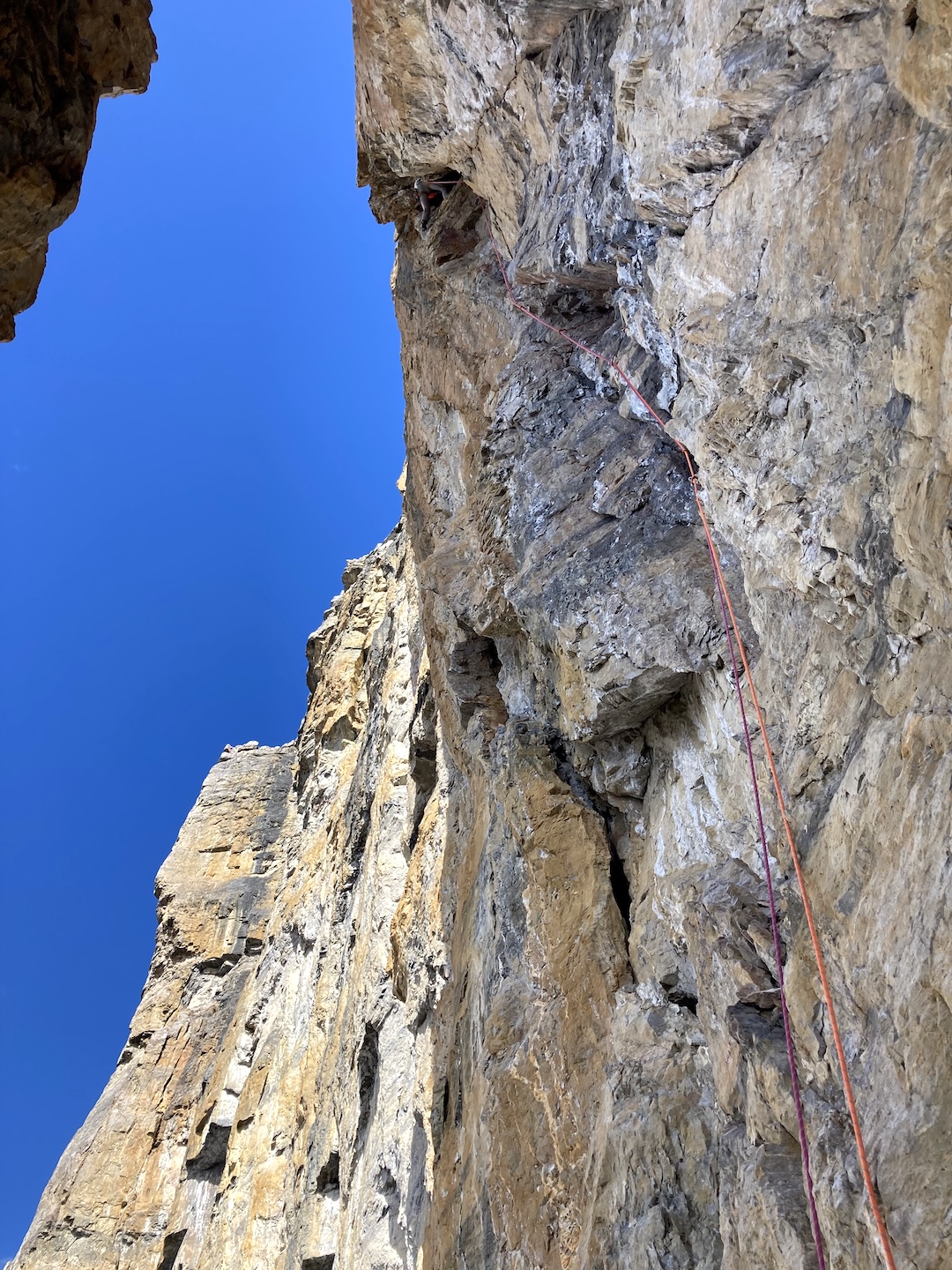 Greg Barrett gobbling some steep choss for lunch during the first ascent of Confessions of a Choss Gobbler (440m, 5.11- A0) on Castle Mountain. 