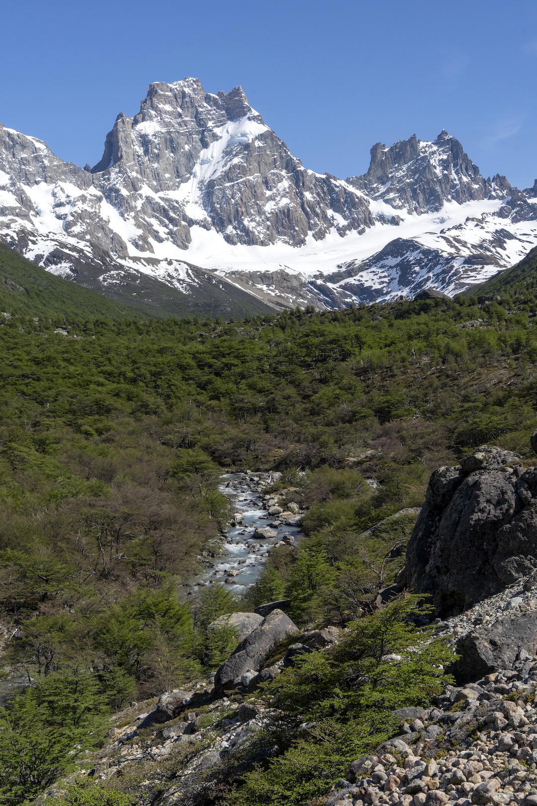 View from the southeast of beautiful unclimbed peaks in the Cordón del Mesón. The large peak in center left was attempted in late 2025 by the north ridge and east face.