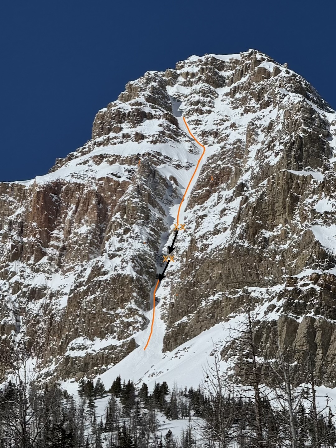 image_2