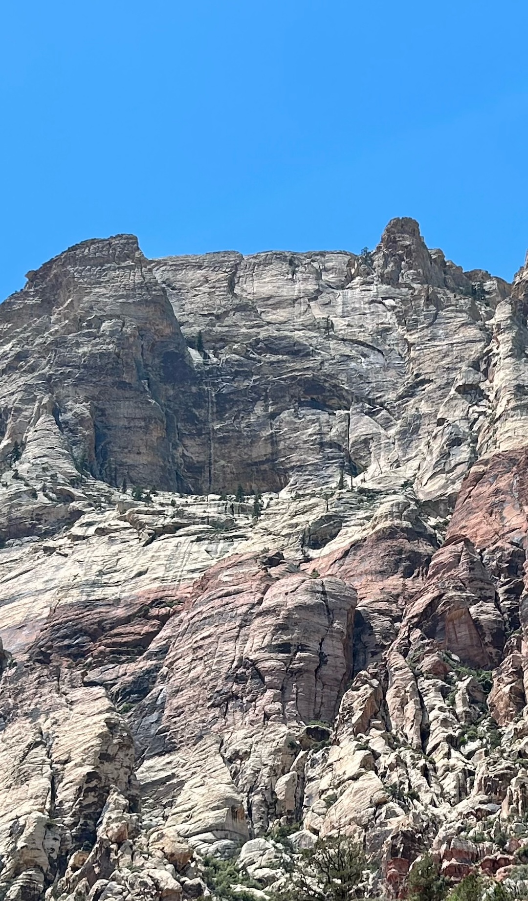 The Horseshoe Wall on Mt. Wilson. Fin Baggin' Society ascends the broad pillar and headwall on the left side.
