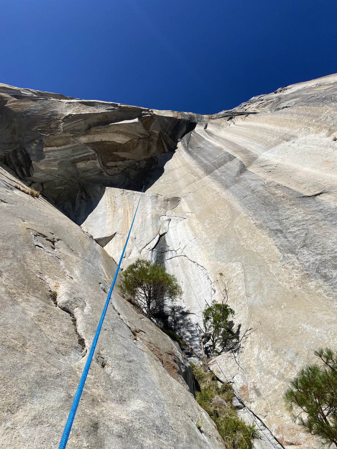 Looking back up at pitch nine during the rappel back to the haul bags. This pitch had some new climbing into an obscure variation to the Heart Route. 