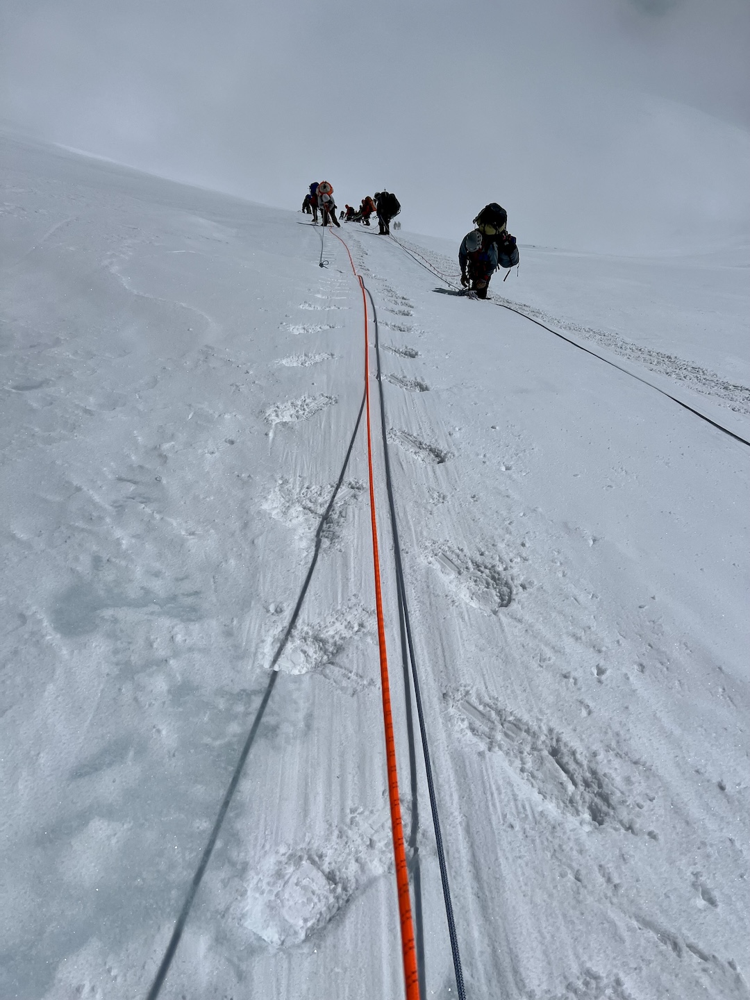 image_1