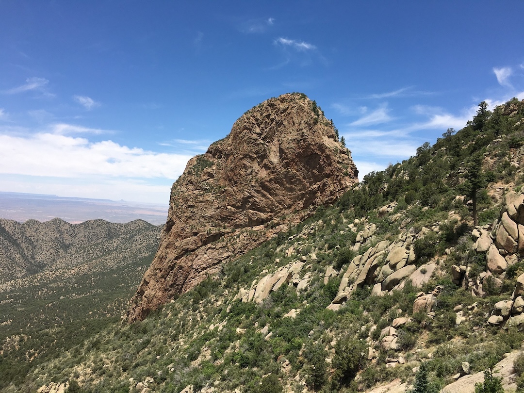 image_1