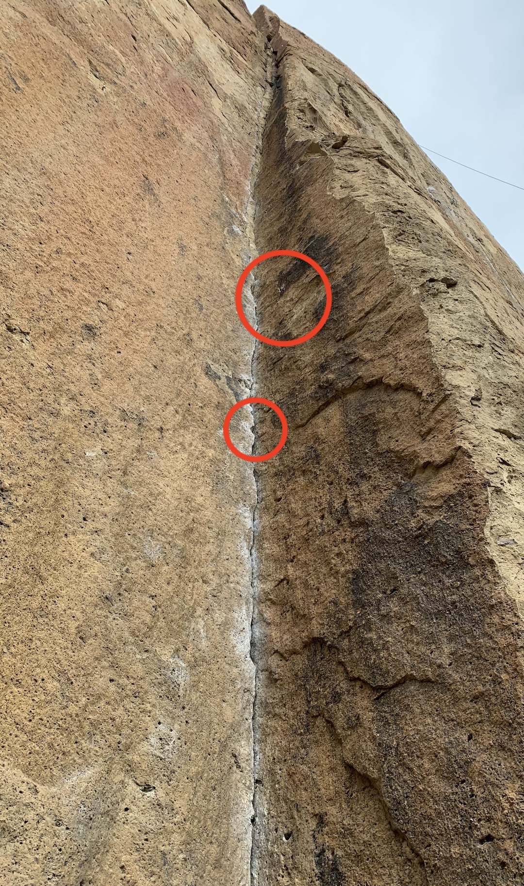 image_1
