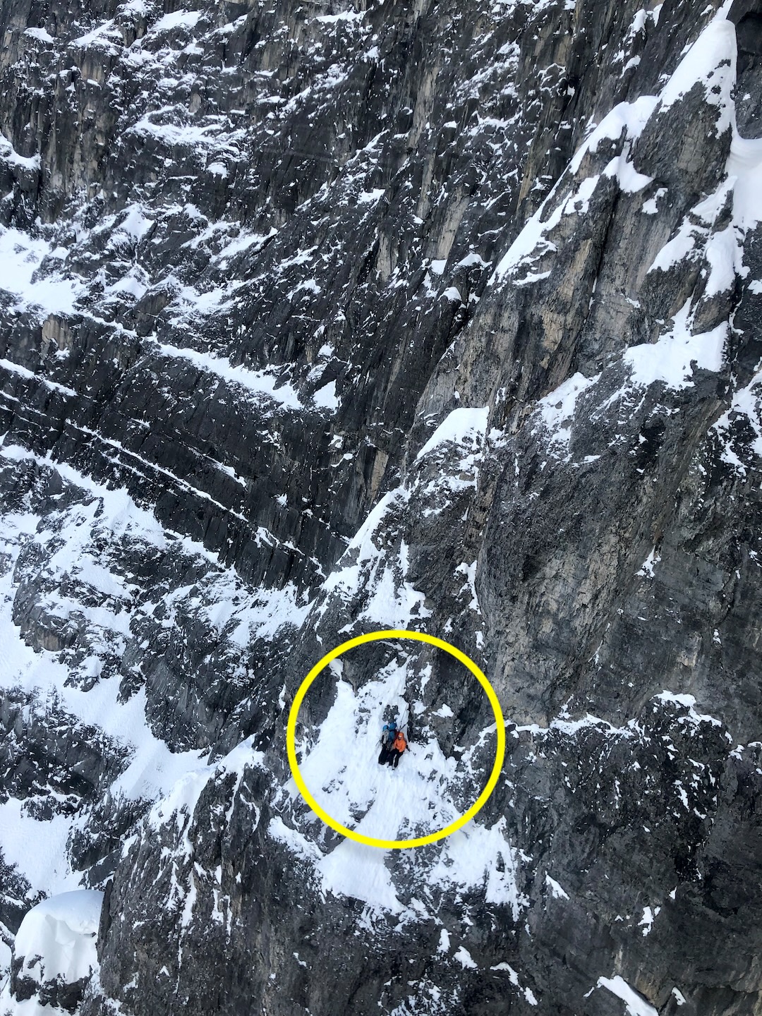 image_1