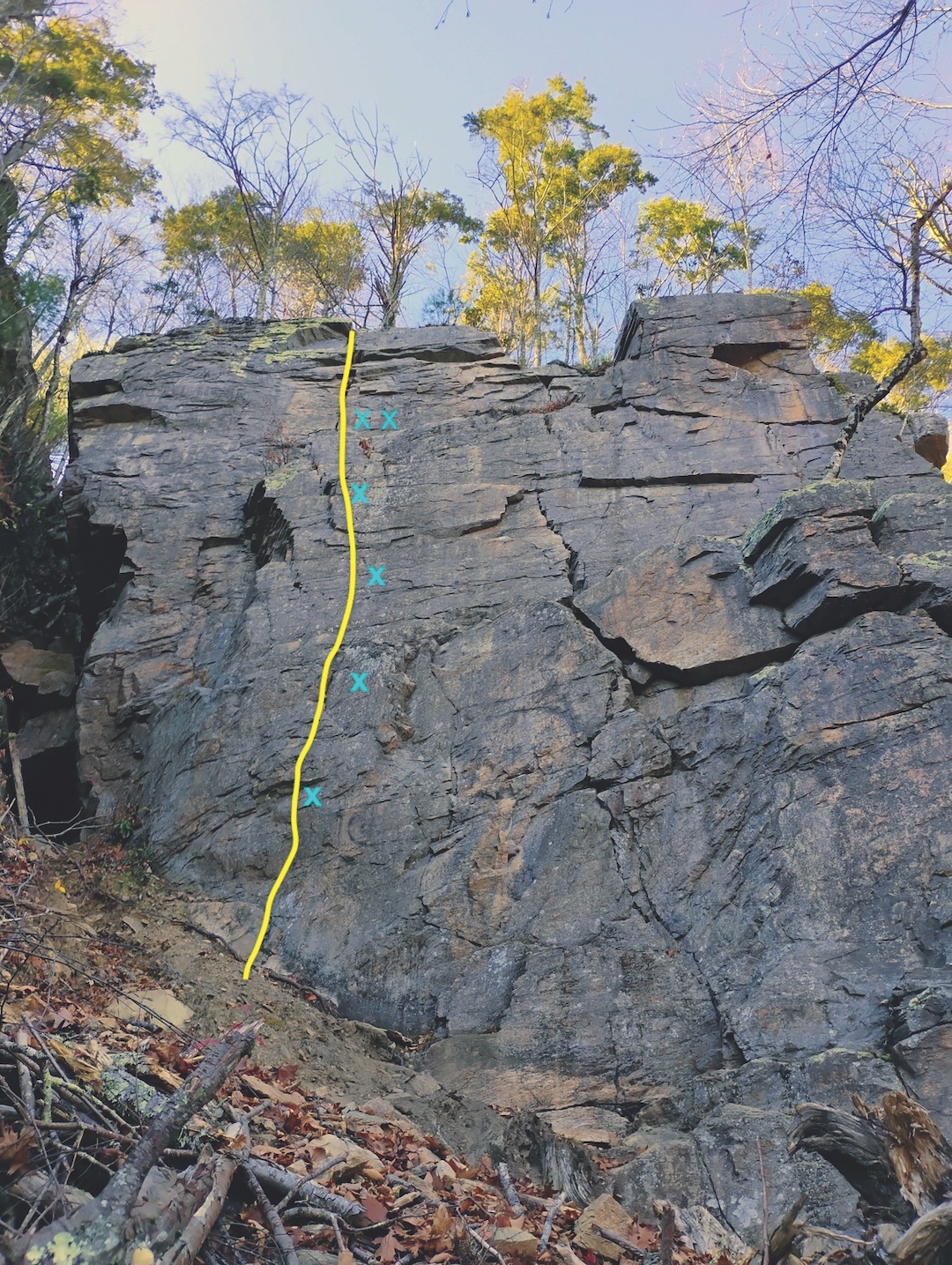 image_1