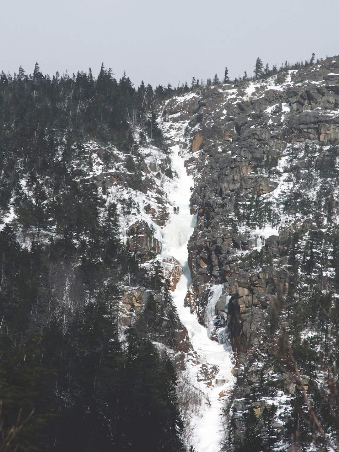 image_1