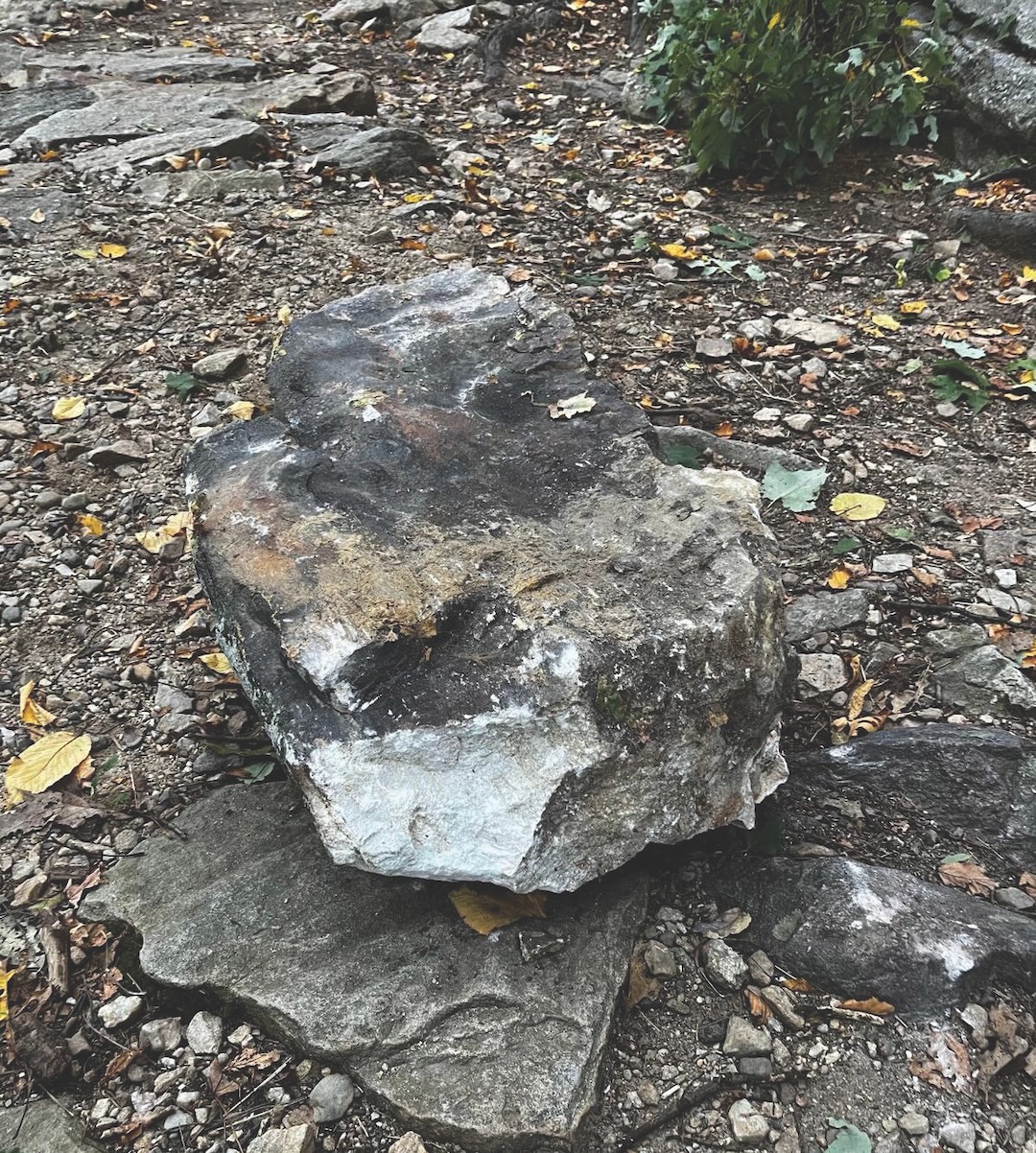 image_1
