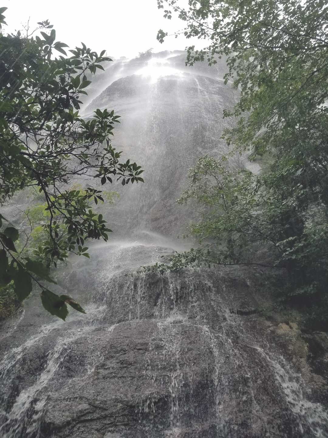 image_1