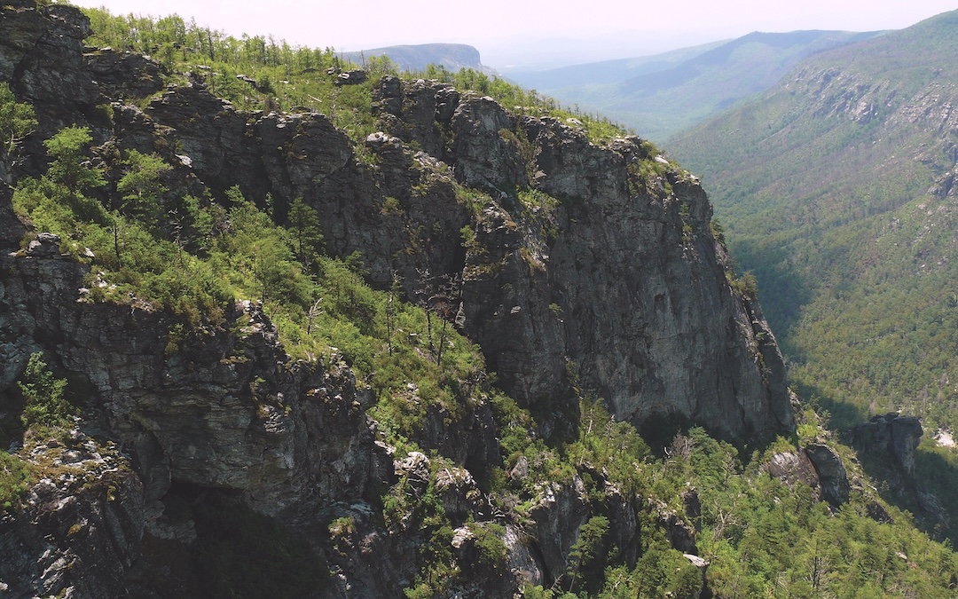 image_1