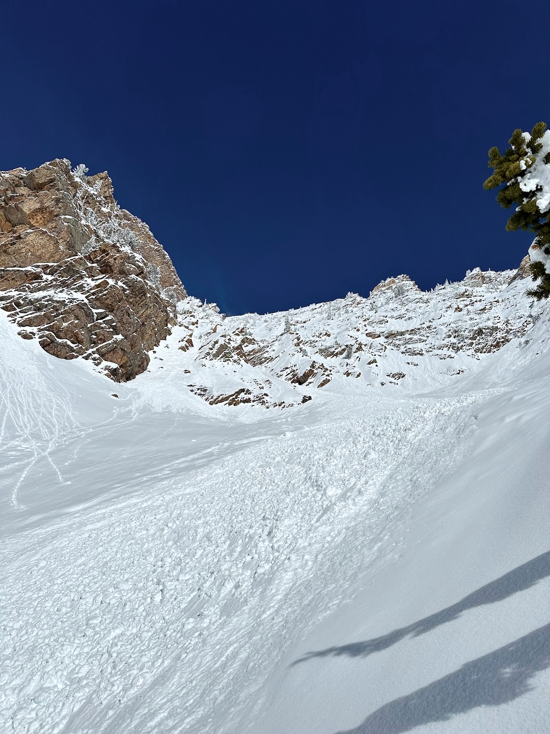 Looking up at the debris from the large avalanche that injured Skier 1 in the upper fork of Lisa Falls. The debris field was approximately 1,000 feet long by 350 feet wide, and up to ten feet deep in the gully above. 