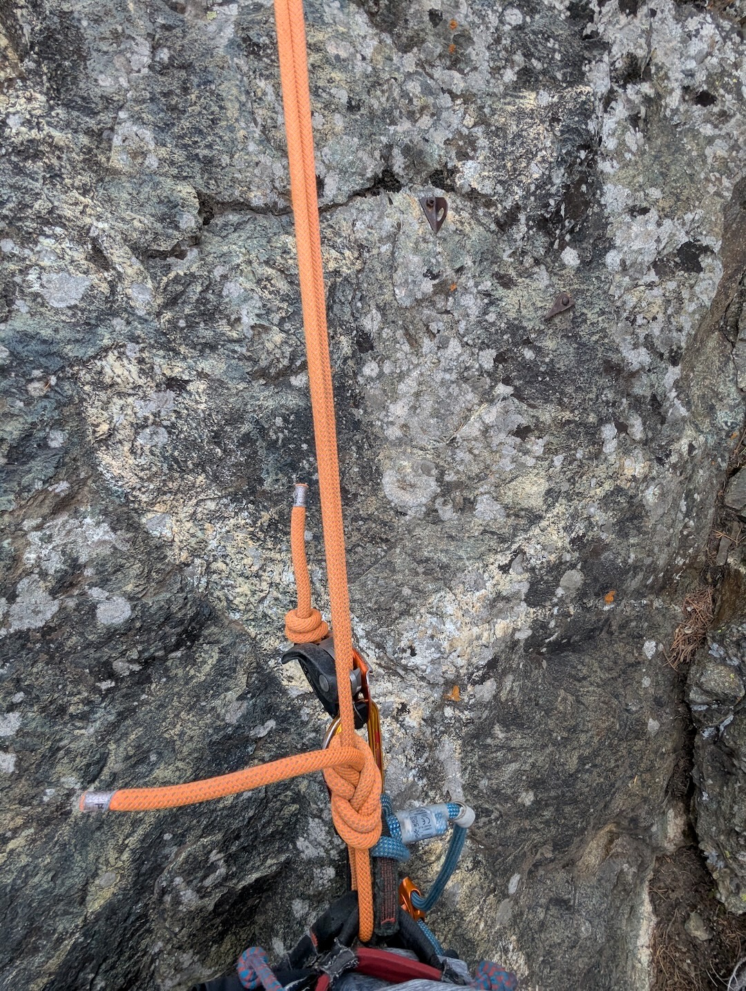 image_1