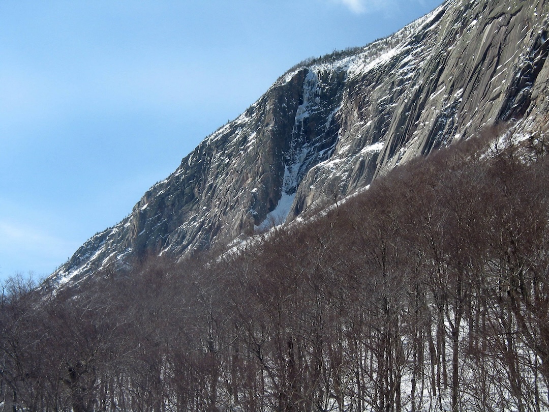 image_1