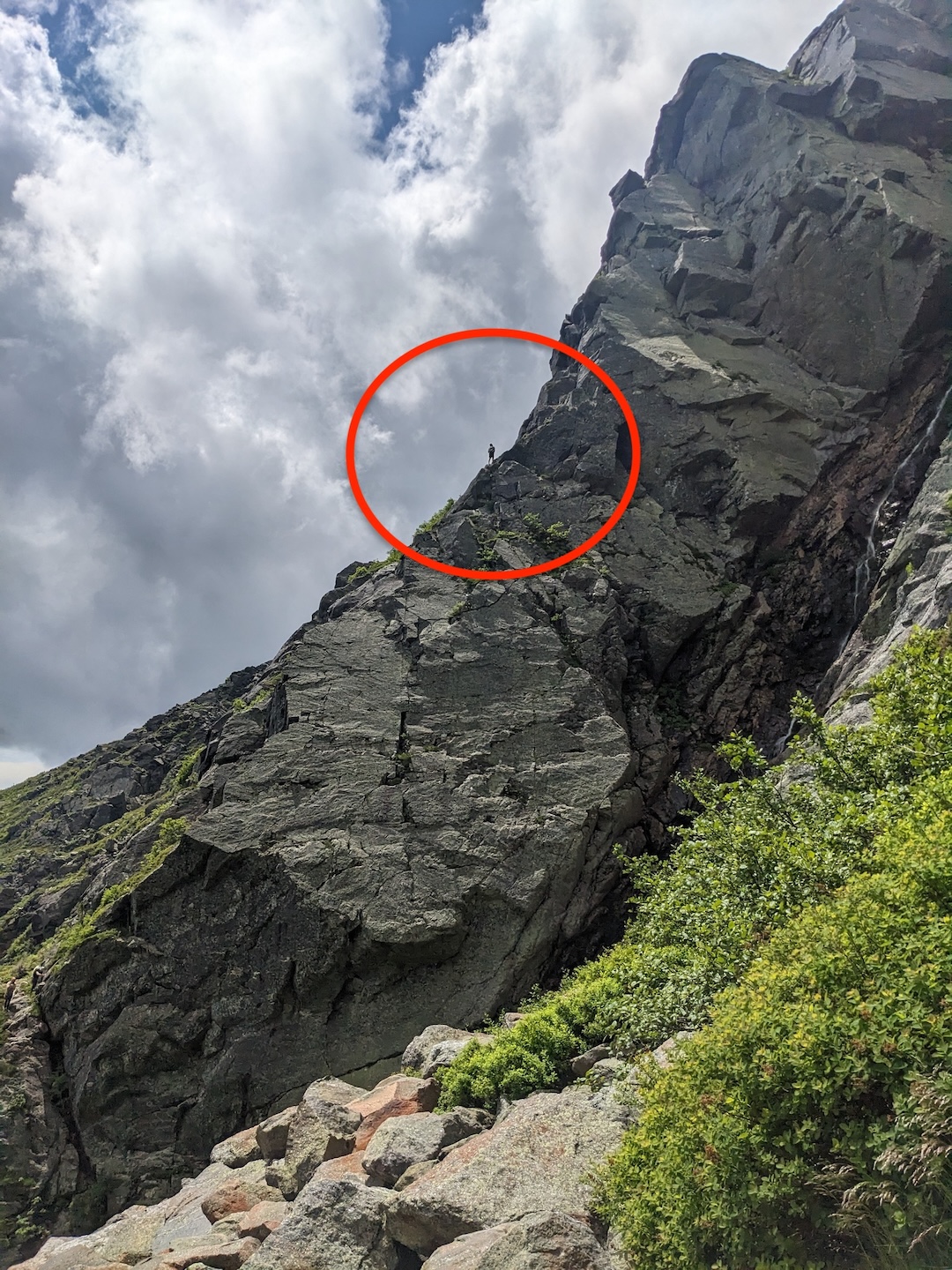 image_1