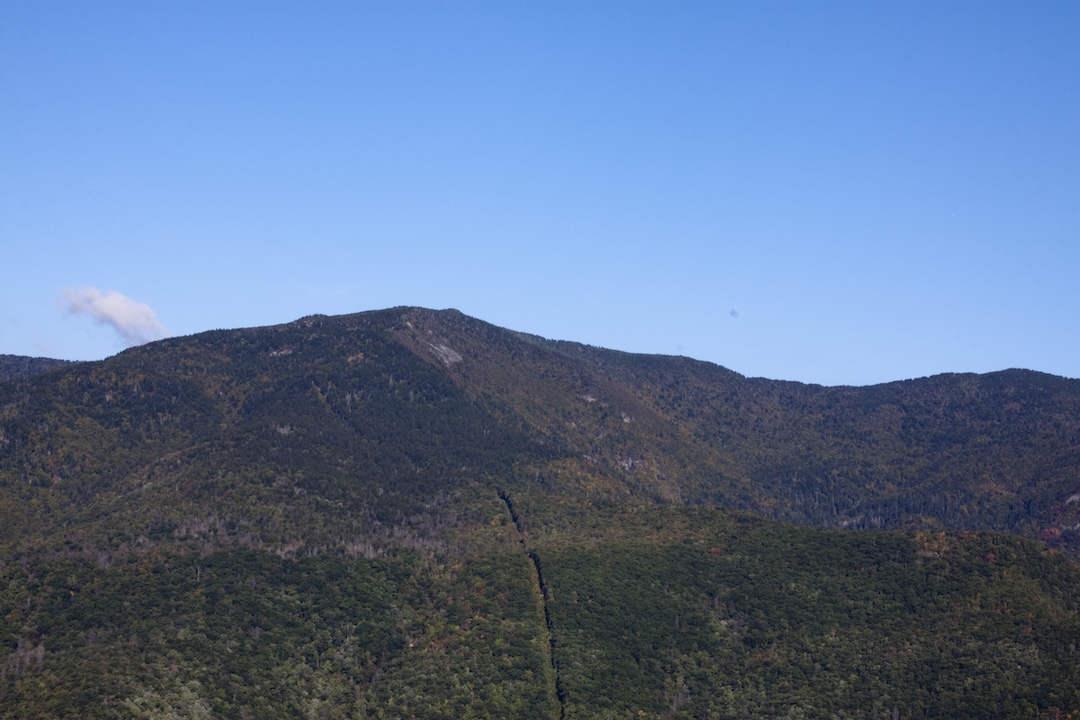 image_1