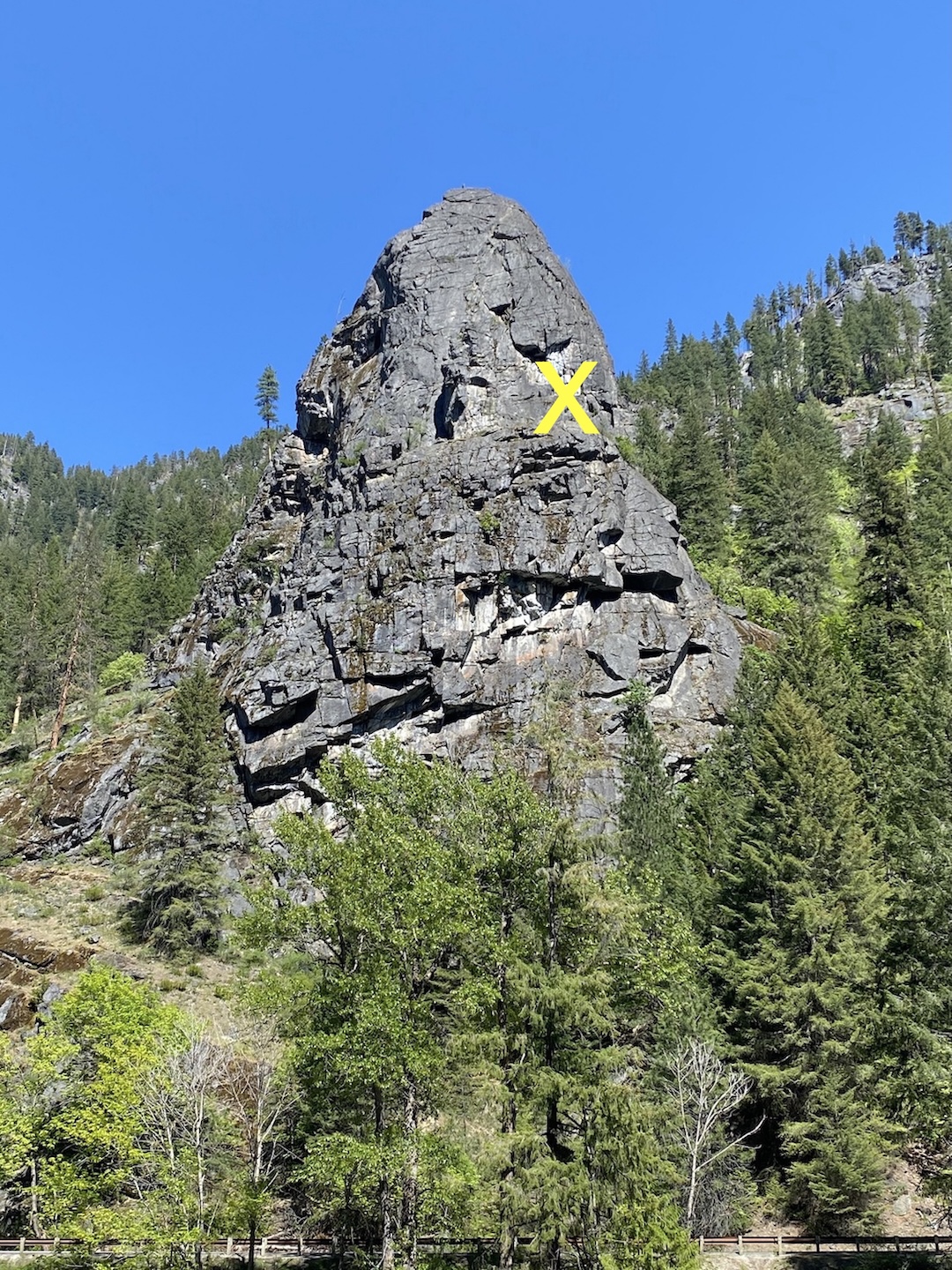 image_1