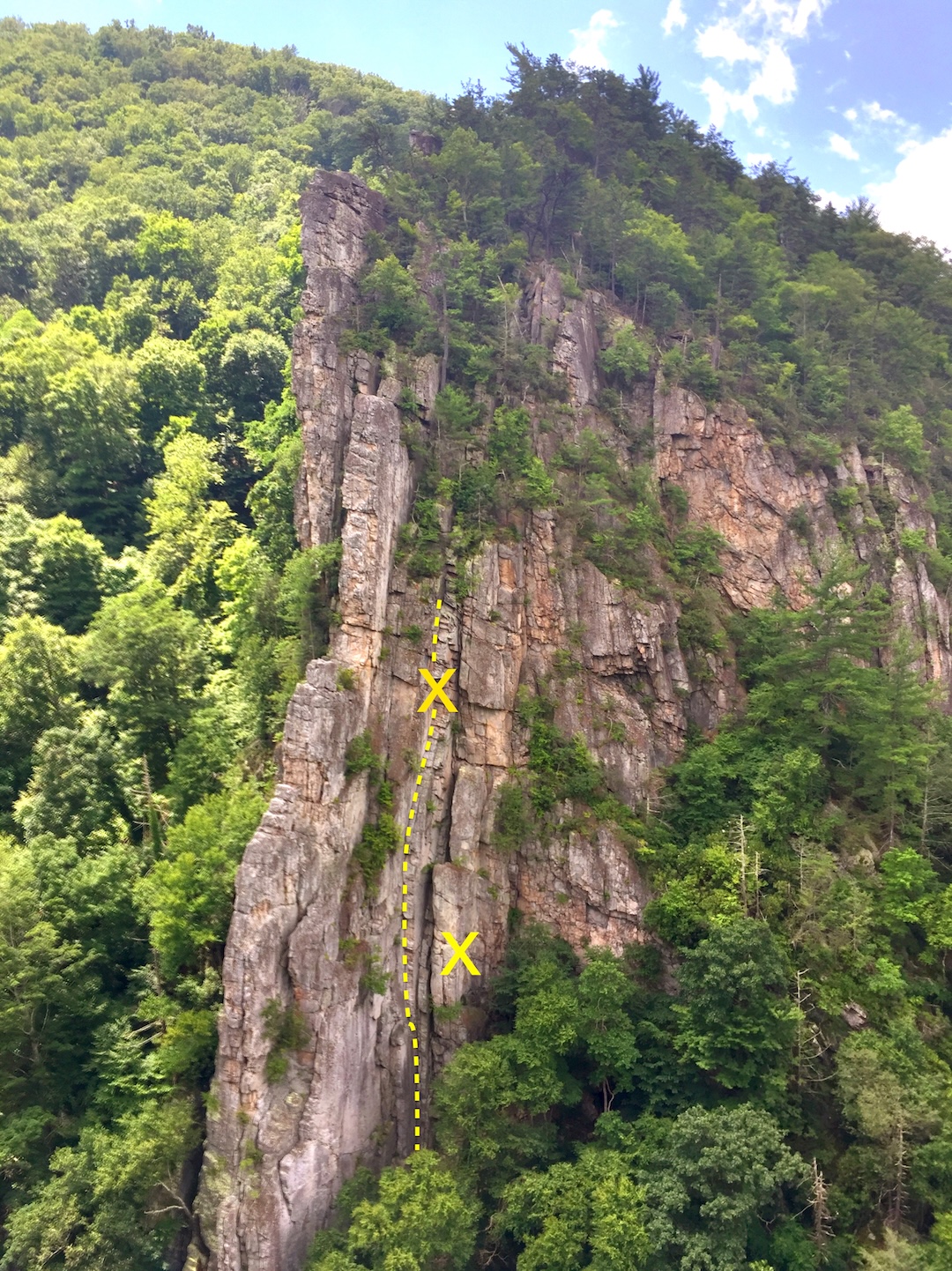 image_1